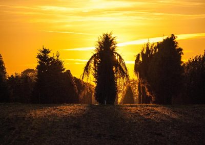 Sonnenuntergang im Quartier