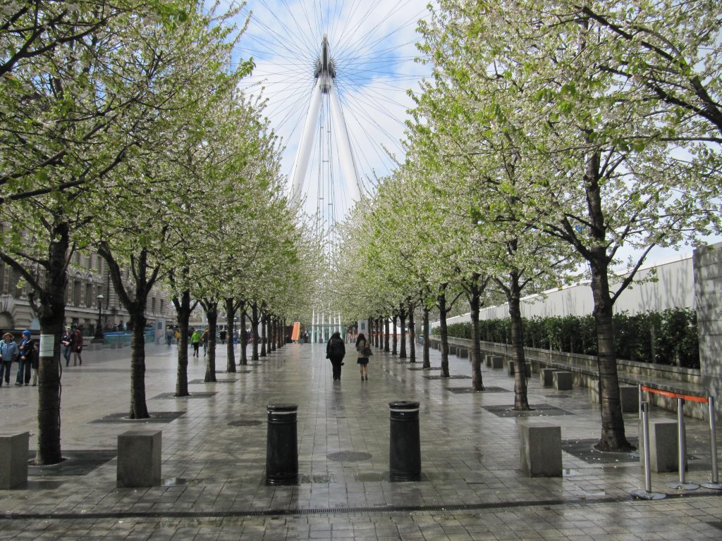 London Eye